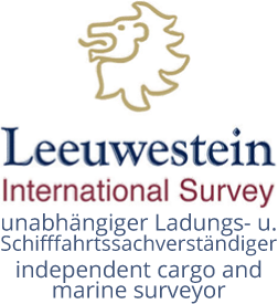 Leeuwestein International Survey